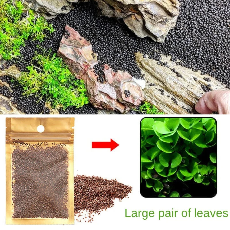 A large pair of green leaves next to a brown granular product, likely black aquarium substrate gravel.