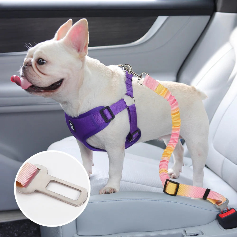 Adjustable Dog Car Safety Seat Belt with Elastic Bungee Buffer