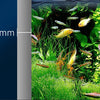 Lampe LED à pince réglable pour aquarium