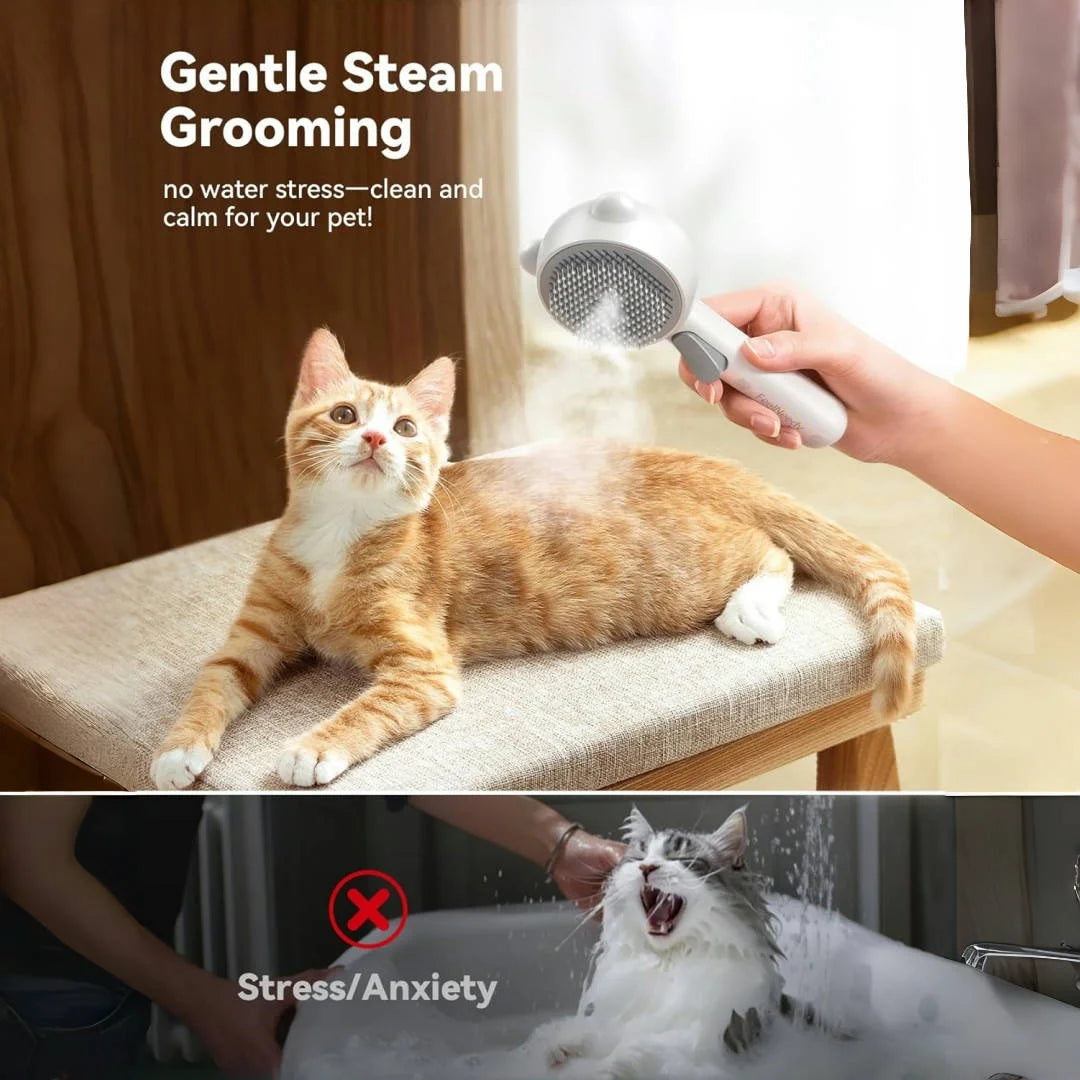 A cat is being gently groomed with a handheld steam grooming brush for pet care.