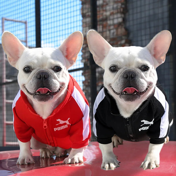 Chaqueta de Béisbol para Perros