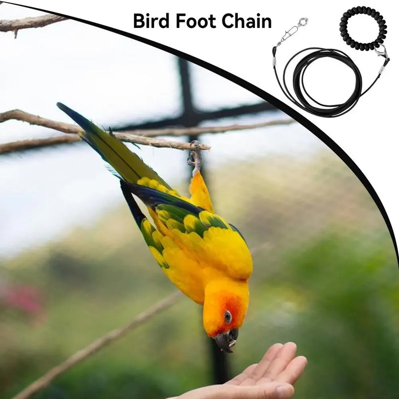 Parrot Flying Training Rope with Foot Ring - 6 ft Leash