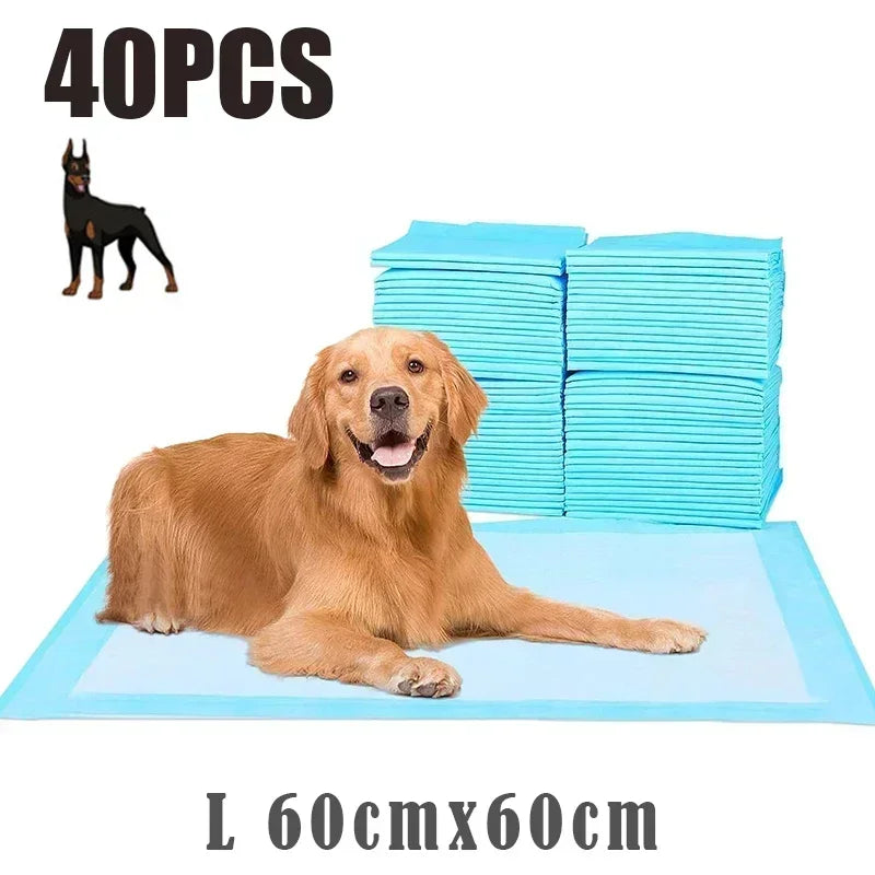 A golden retriever dog lying on a blue training pad next to a stack of light blue pet pads.
