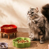 Ceramic Slow Feeder Bowl for Cats and Small Dogs