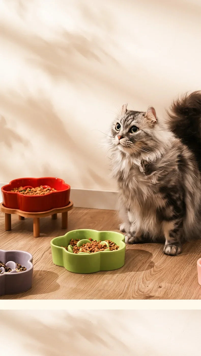 Ceramic Slow Feeder Bowl for Cats and Small Dogs