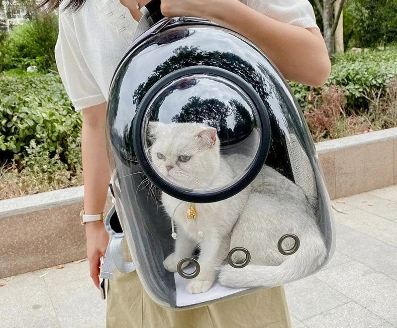 A person is carrying a transparent pet carrier backpack with a cat inside outdoors.
