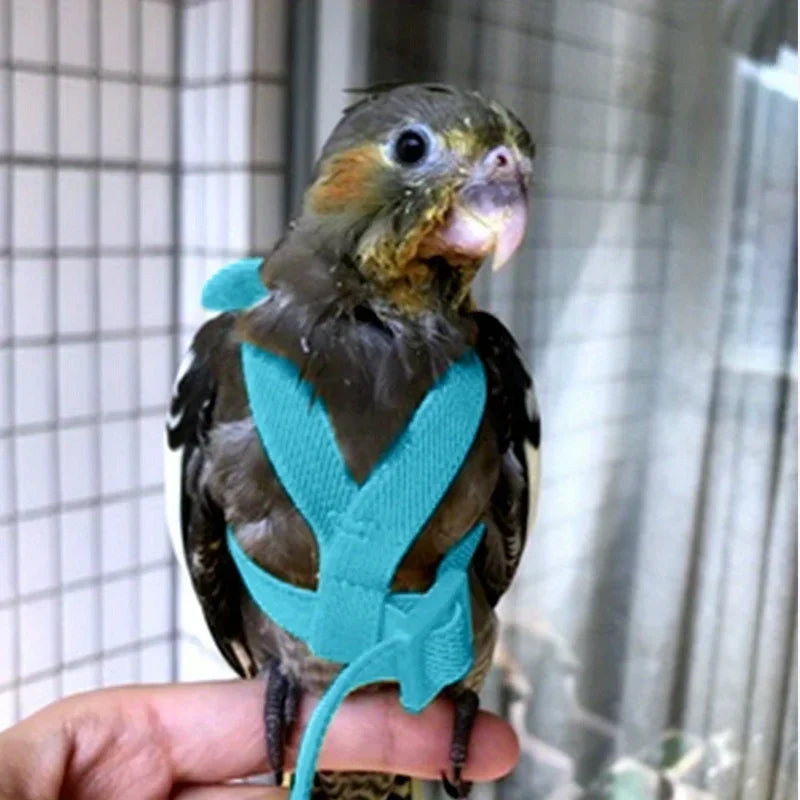 Parrot Flying Harness Rope Ultra Light Training Harness
