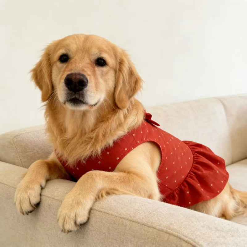 Summer Dog Dress - Lightweight Printed Apparel for Large Breeds