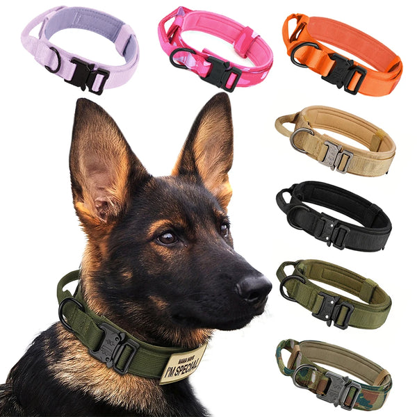 A black German Shepherd wearing a green tactical dog training collar and leash set with a handle.