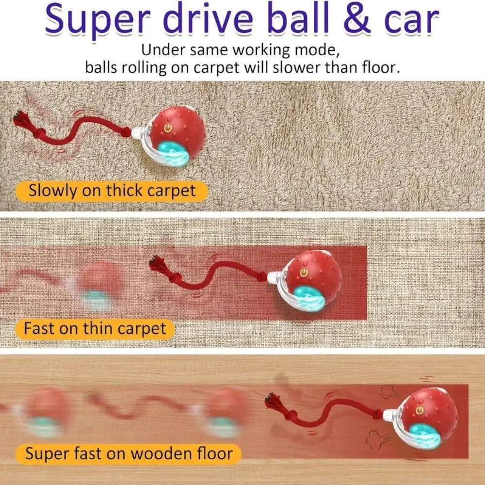 Interactive Rolling Cat Toy with Bird Sounds and Three Play Modes