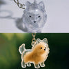 Transparent Pet Hair Keepsake Charm for Keys