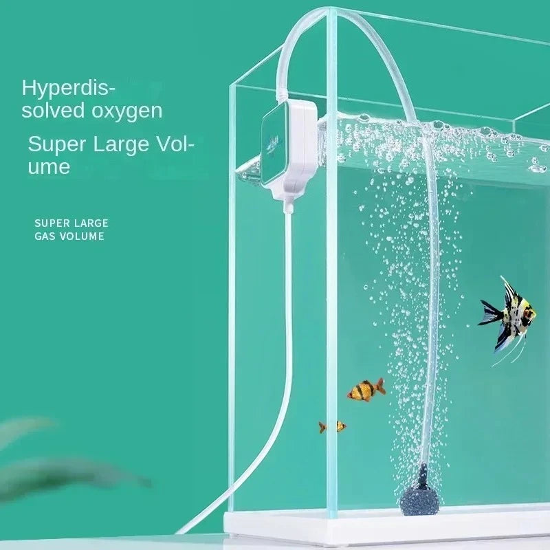 Klares Aquarium mit transparentem Luftleitungssystem und Luftpumpe