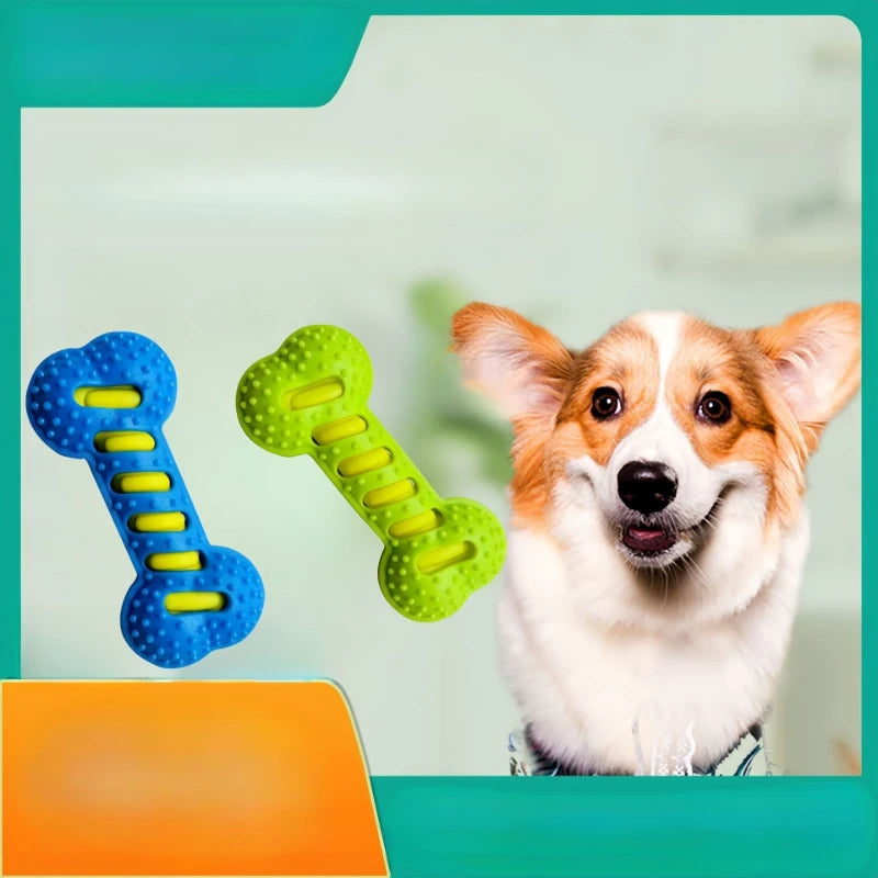 Robustes Quietschendes Knochen-Hundespielzeug