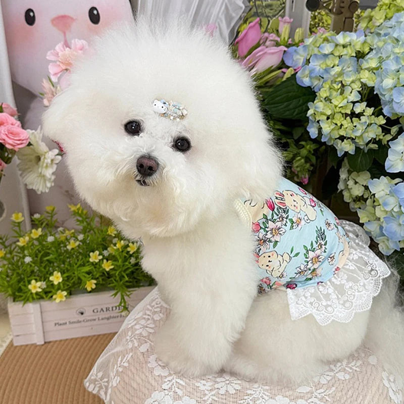 Vestido Floral de Encaje para Mascotas
