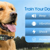 A golden retriever wearing a GPS dog wireless fence training collar, with text options for beep, vibration, shock, and protec