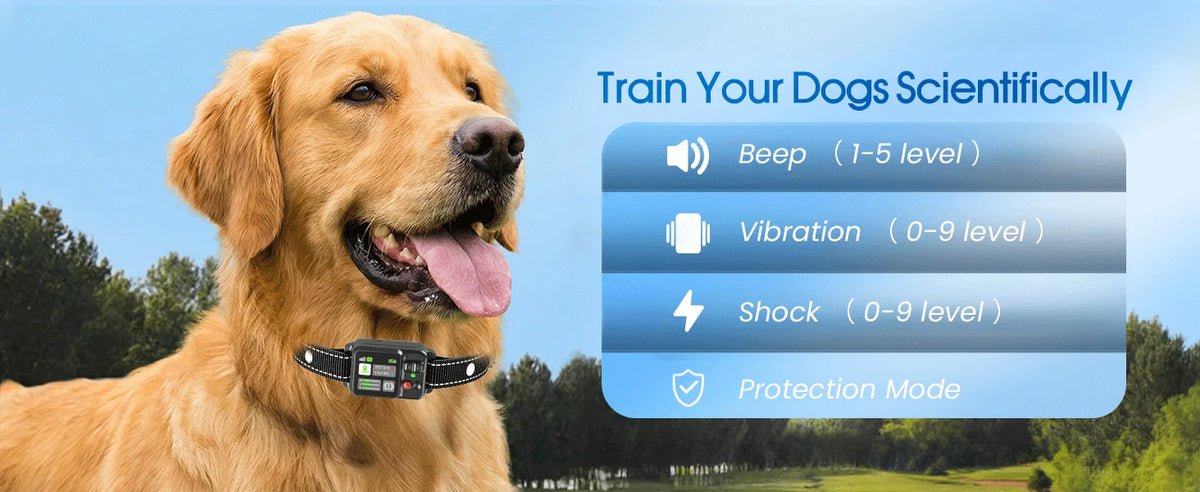 A golden retriever wearing a GPS dog wireless fence training collar, with text options for beep, vibration, shock, and protec