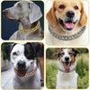 A collage showing three dogs wearing different styles of diamond and silver pet collars.