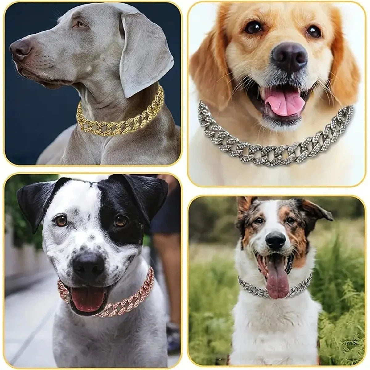 A collage showing three dogs wearing different styles of diamond and silver pet collars.