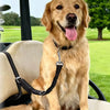 Adjustable Dog Car Seat Belt with Shock-Absorbing Elastic Leash
