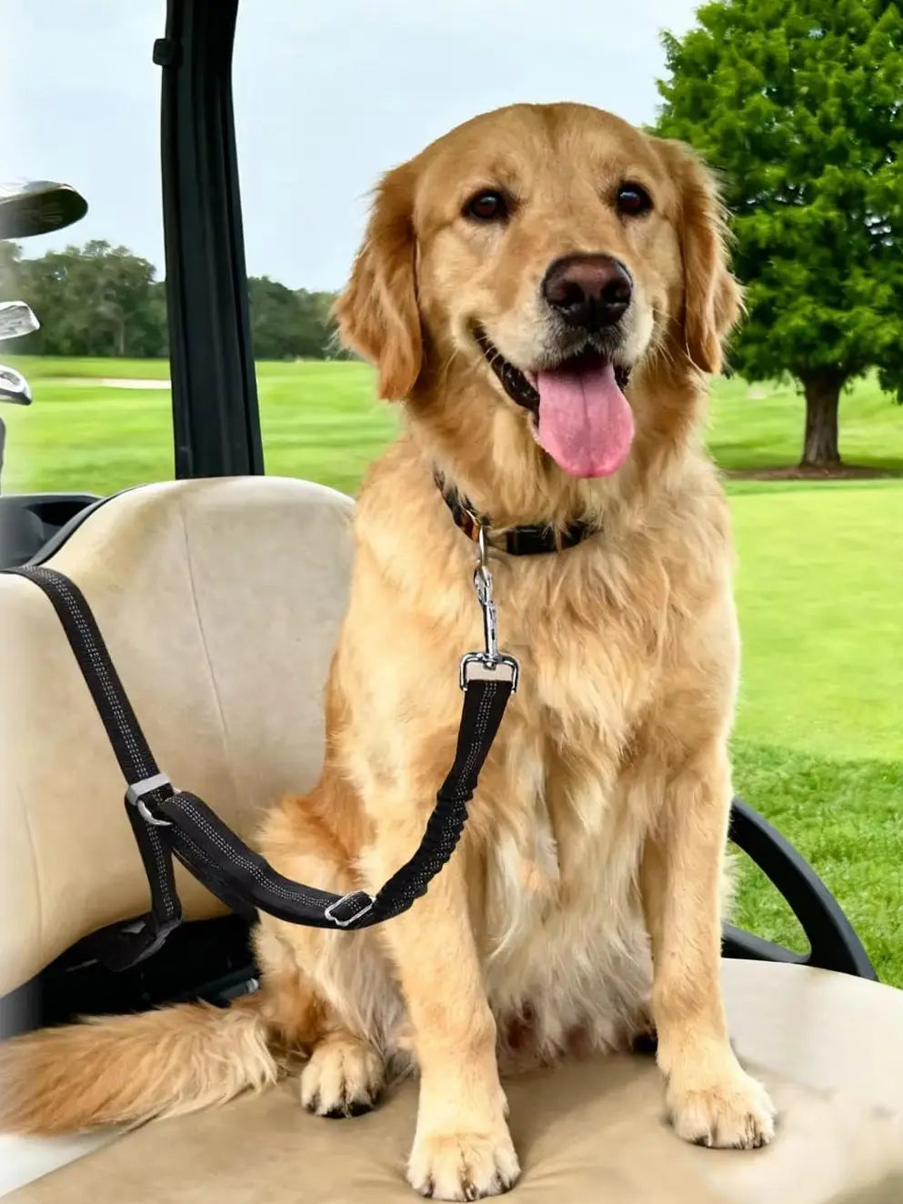 Adjustable Dog Car Seat Belt with Shock-Absorbing Elastic Leash