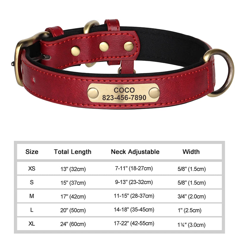 Personalisiertes Leder-Hundehalsband mit graviertem ID-Tag