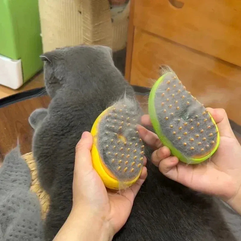 Brosse de toilettage à vapeur électrique pour chats et chiens