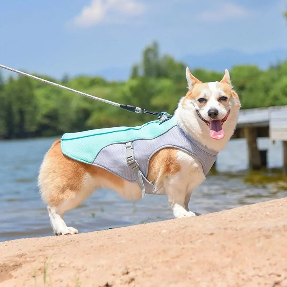 A happy dog wearing a light blue and gray cooling vest is standing on a sandy bank near water.