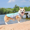 A happy dog wearing a light blue and gray cooling vest is standing on a sandy bank near water.