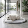A white dog is lying on a round, textured pet mat indoors near large glass windows.