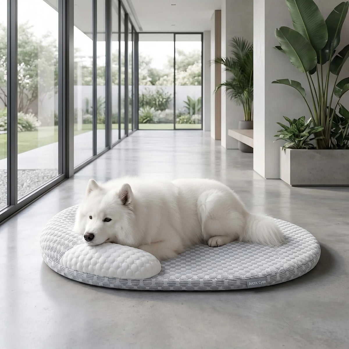 A white dog is lying on a round, textured pet mat indoors near large glass windows.