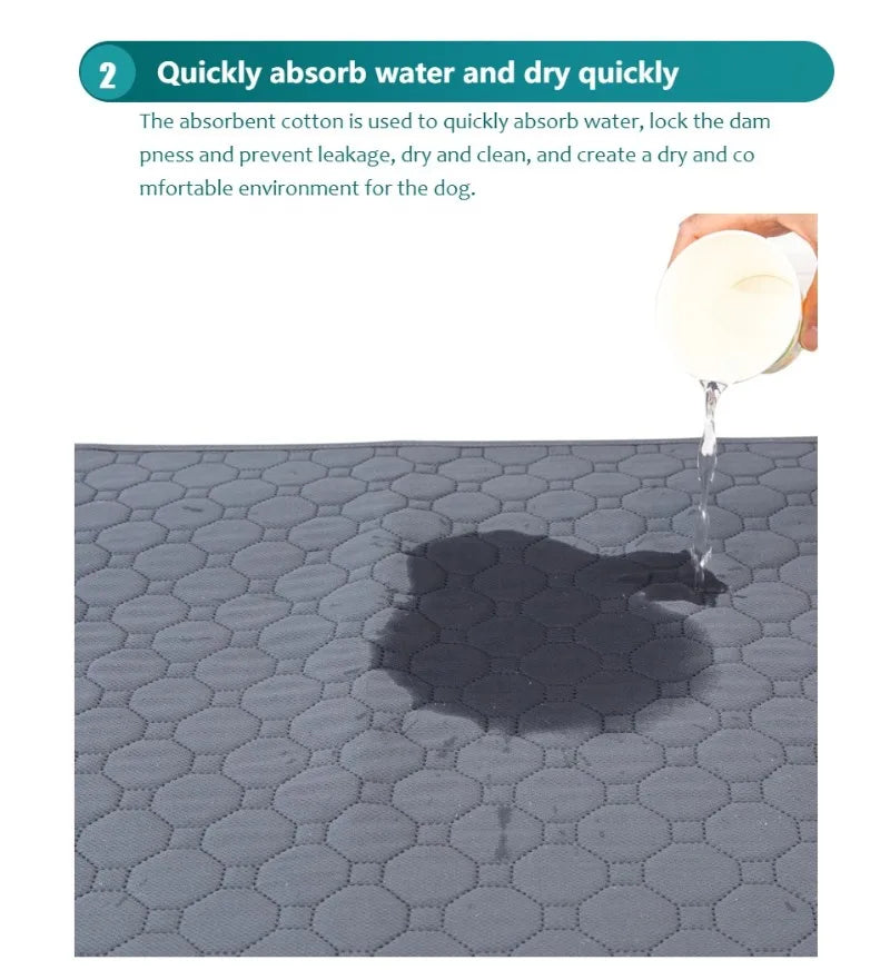 Couverture Réutilisable et Lavable pour Pipis de Chien