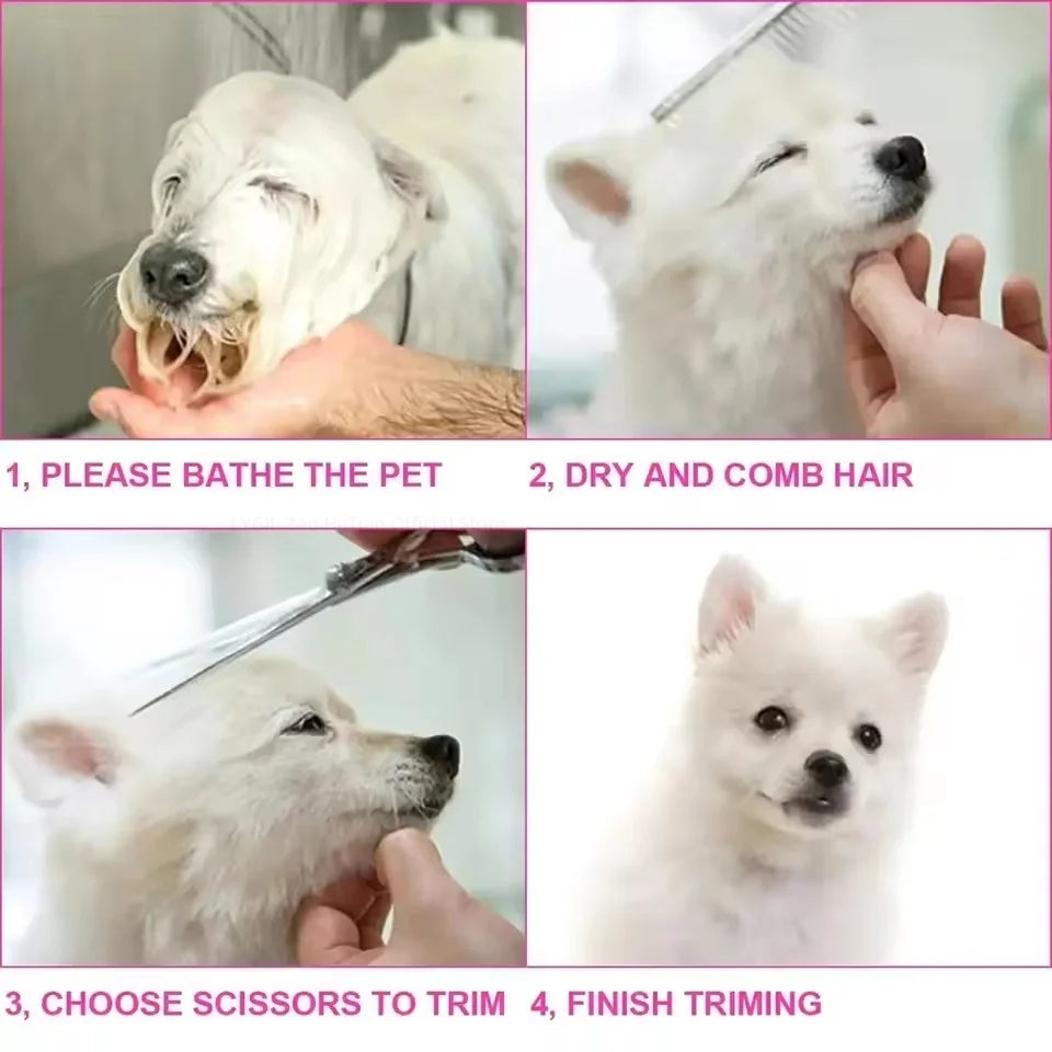 A four-step guide showing the process of bathing, drying, combing, and finishing trimming on a white dog.