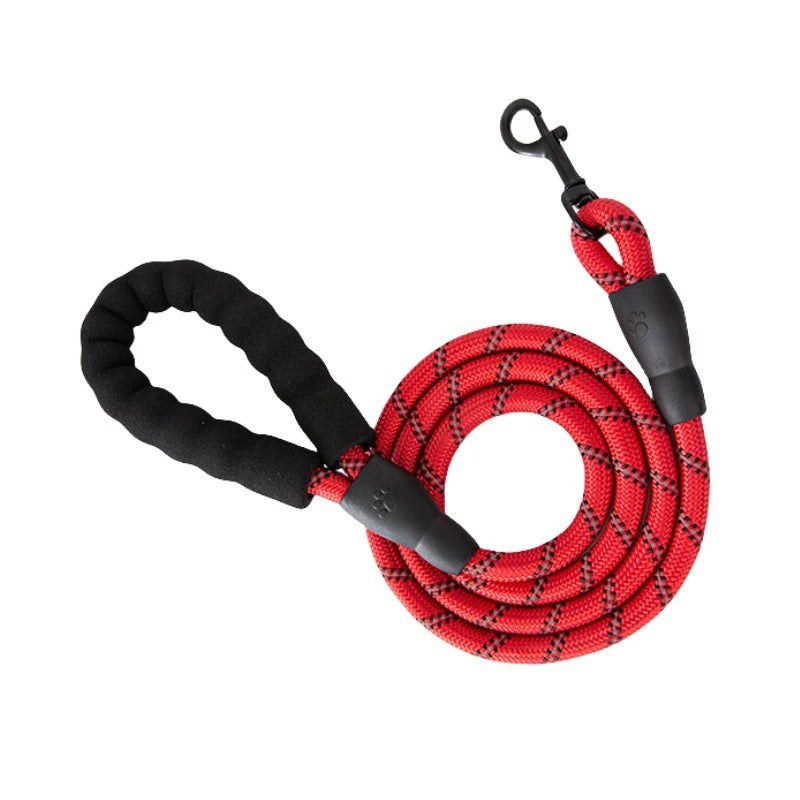 A red reflective dog leash with a padded handle and black nylon strap coiled for use.