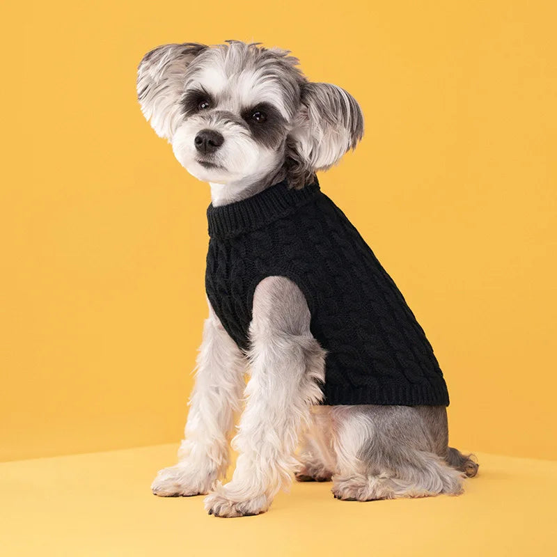 A small, light-colored dog is sitting and wearing a black turtleneck knit sweater against a yellow background.