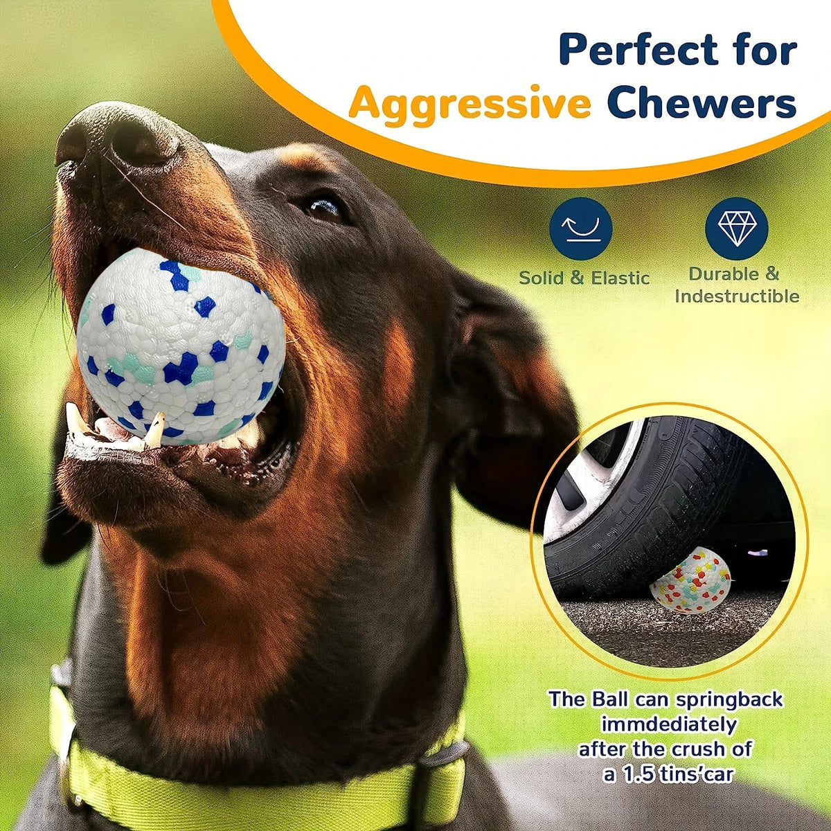 A dog is aggressively chewing a durable, elastic TPU ball in an outdoor setting.