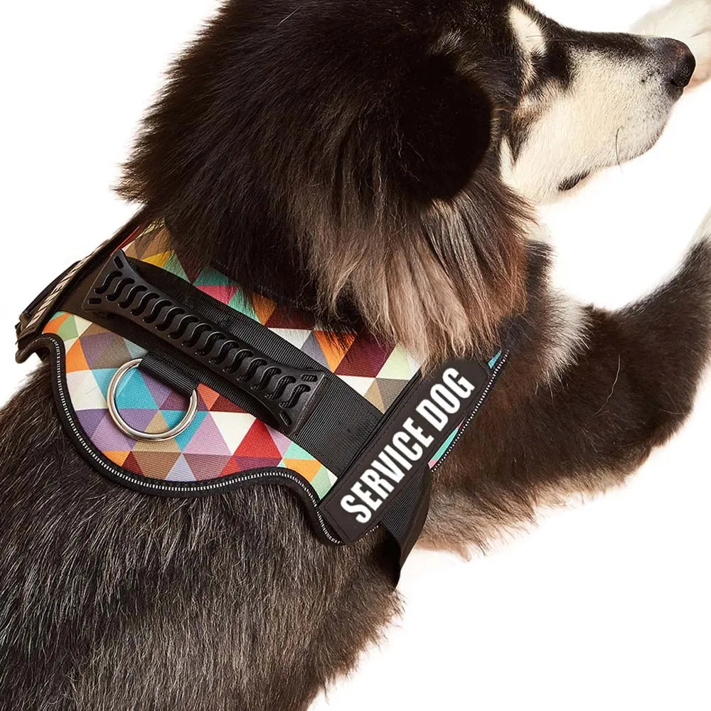 Adjustable No-Pull Dog Harness with Reflective Straps