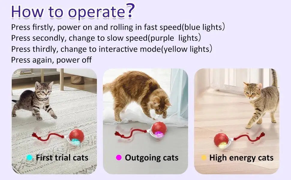 Motion-Activated Cat Toy Ball with Bird Chirping Sounds