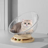 Universal Capsule Cat Bed Hammock