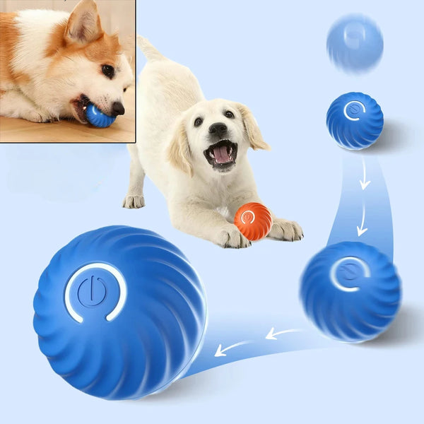 A blue automatic moving dog ball toy is shown with a dog and a small orange ball.