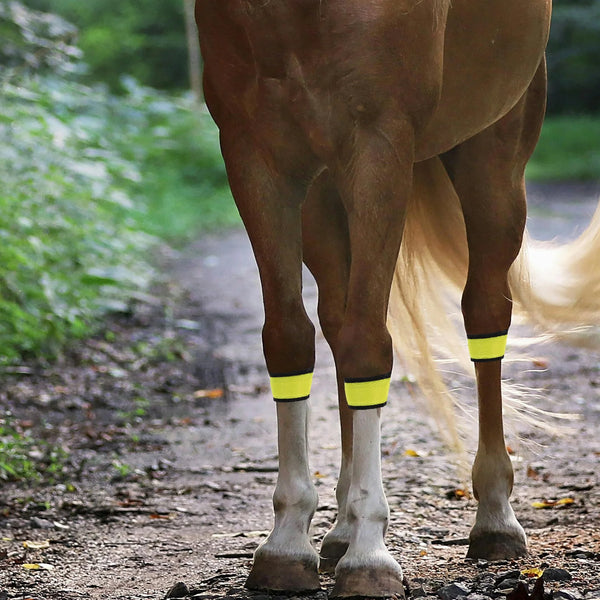 Bandas LED para Patas de Caballo para Cabalgar de Noche