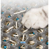 Eine weiße Katzenpfote ruht auf einer grauen Streumatte gefüllt mit kleinen, hellen Pellets und blauer Streu.
