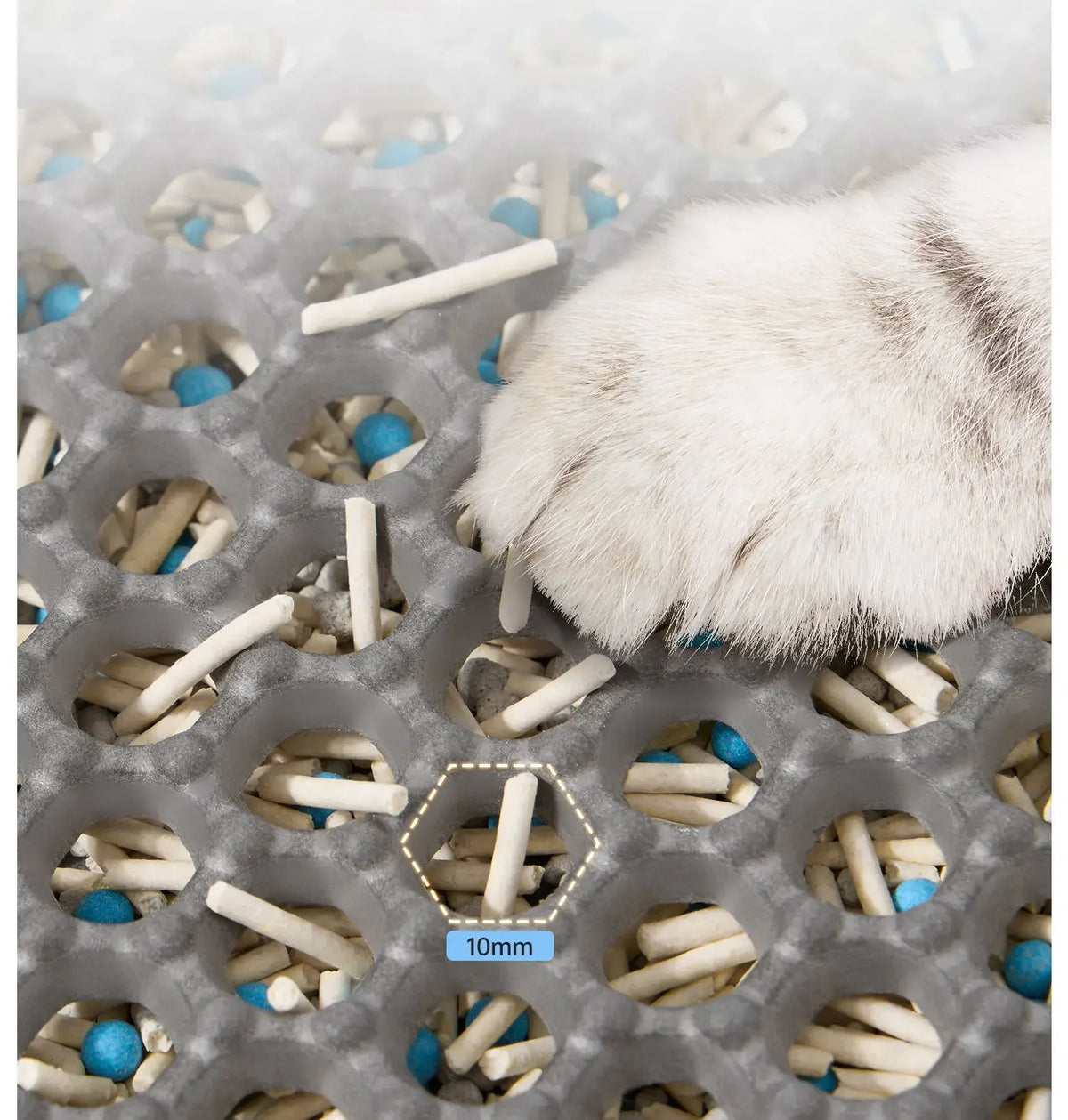 Eine weiße Katzenpfote ruht auf einer grauen Streumatte gefüllt mit kleinen, hellen Pellets und blauer Streu.
