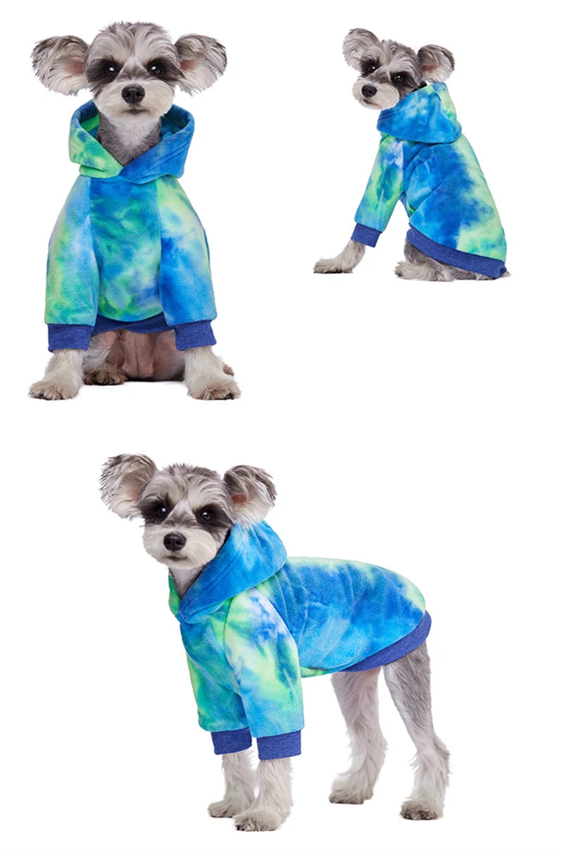 Un petit chien portant un sweat à capuche en polaire tie-dye bleu et vert.