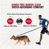 Hands-Free Dog Waist Leash with Lumbar Support and Reflective Bungee