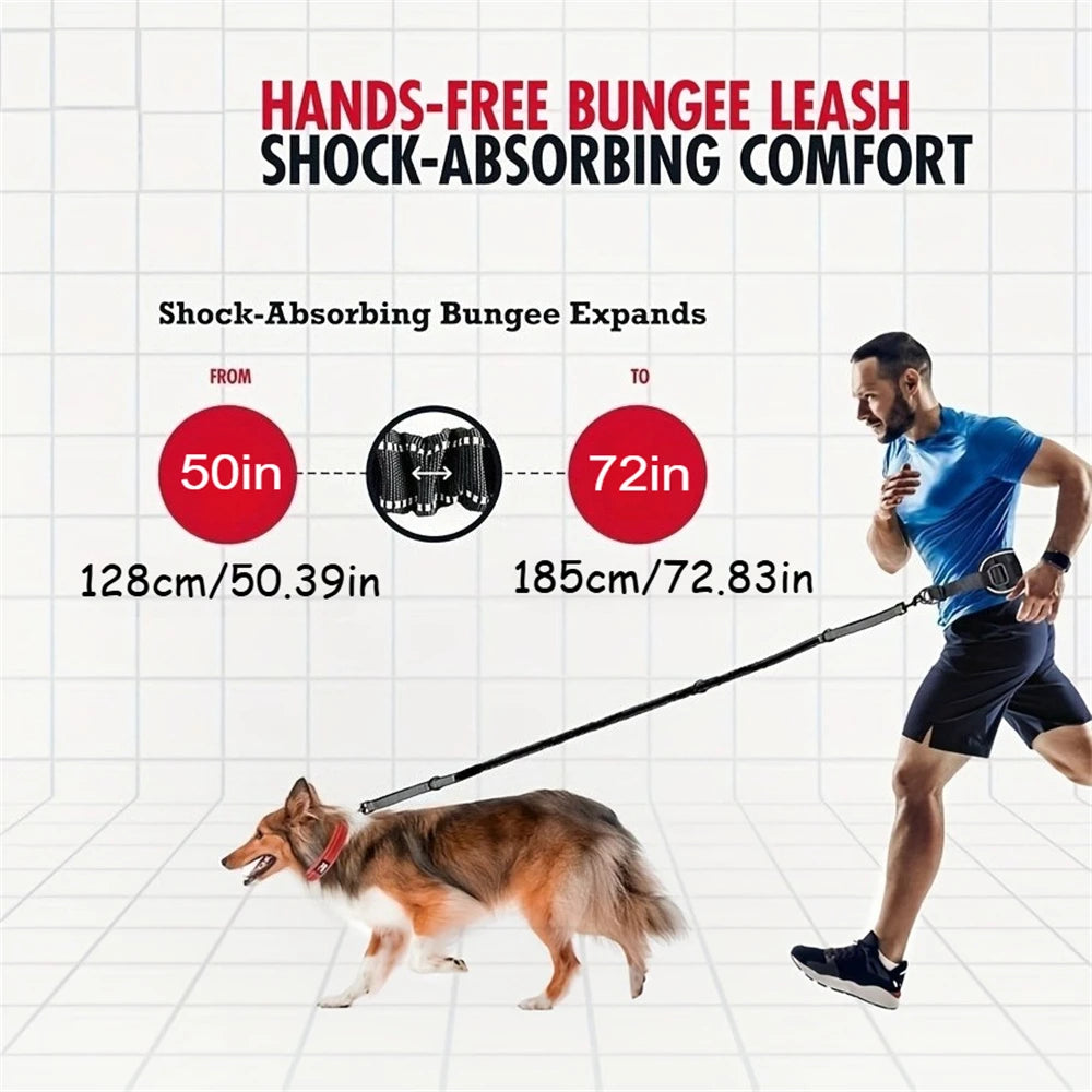 Hands-Free Dog Waist Leash with Lumbar Support and Reflective Bungee