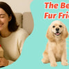 Interactive Crab Plush Toy with Motion-Activated Ball for Dogs