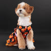 Pumpkin Lace Dog Dress for Small Dogs