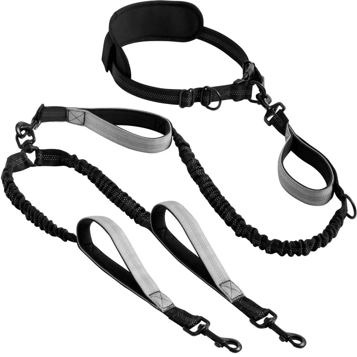 Hands-Free Double Dog Leash for Two Dogs – Padded Handles & Reflective Stitching for Medium and Large Breeds
