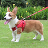 Adjustable Mesh Dog Harness Vest for Small and Medium Pets