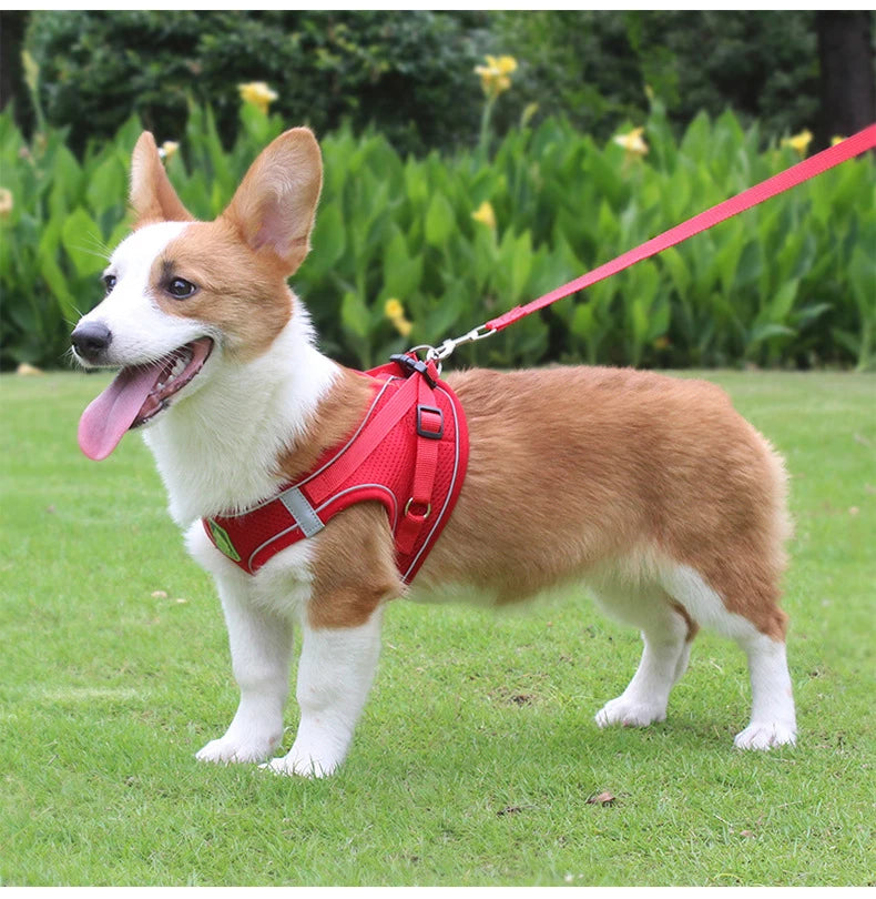 Adjustable Mesh Dog Harness Vest for Small and Medium Pets